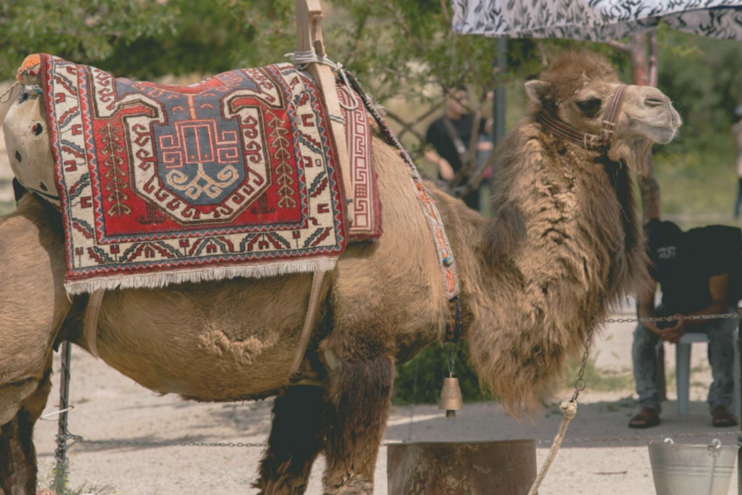 Сертифікація наших освітніх програм